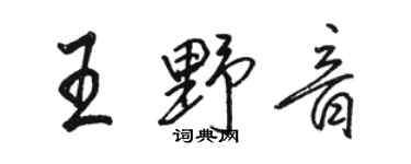 駱恆光王野音行書個性簽名怎么寫
