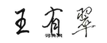 駱恆光王有翠行書個性簽名怎么寫