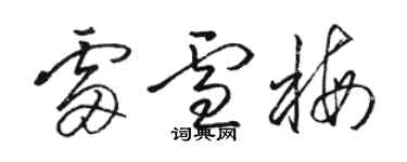 駱恆光雷雪梅草書個性簽名怎么寫