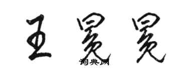 駱恆光王冕冕行書個性簽名怎么寫