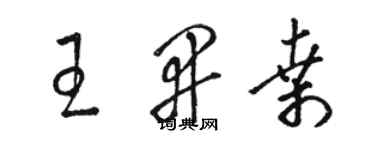 駱恆光王開桑草書個性簽名怎么寫