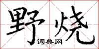 丁謙野燒楷書怎么寫