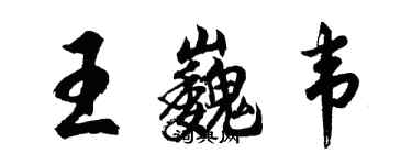 胡問遂王巍韋行書個性簽名怎么寫