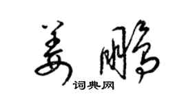 梁錦英姜鵬草書個性簽名怎么寫