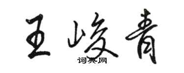 駱恆光王峻青行書個性簽名怎么寫