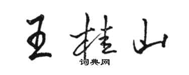 駱恆光王桂山行書個性簽名怎么寫