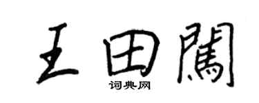 王正良王田闖行書個性簽名怎么寫