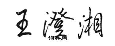 駱恆光王澄湘行書個性簽名怎么寫