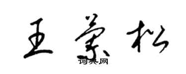 梁錦英王蘭松草書個性簽名怎么寫