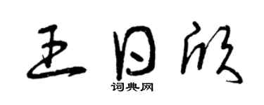 曾慶福王日欣草書個性簽名怎么寫