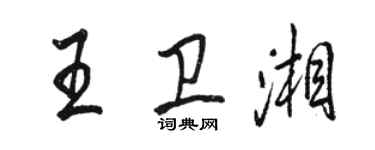 駱恆光王衛湘行書個性簽名怎么寫
