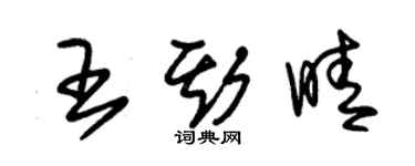 朱錫榮王斯晴草書個性簽名怎么寫