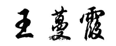 胡問遂王蔓霞行書個性簽名怎么寫