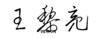 駱恆光王黎亮草書個性簽名怎么寫