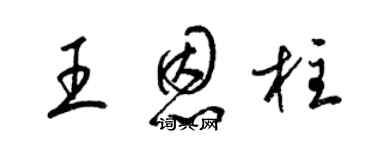 梁錦英王恩柱草書個性簽名怎么寫
