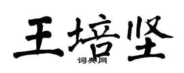 翁闓運王培堅楷書個性簽名怎么寫