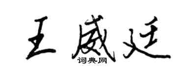 王正良王威廷行書個性簽名怎么寫