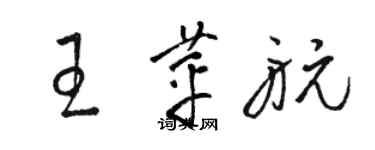 駱恆光王苹航草書個性簽名怎么寫