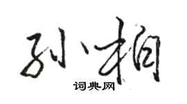 駱恆光孫柏行書個性簽名怎么寫