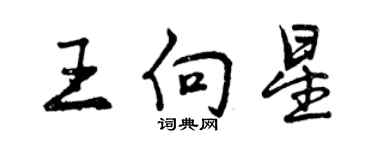 曾慶福王向星行書個性簽名怎么寫