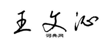 梁錦英王文沁草書個性簽名怎么寫
