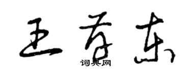 曾慶福王存東草書個性簽名怎么寫