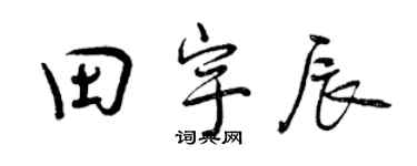 曾慶福田宇辰行書個性簽名怎么寫
