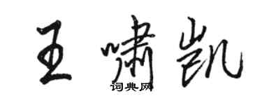 駱恆光王嘯凱行書個性簽名怎么寫