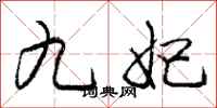 龐中華九妃行書怎么寫
