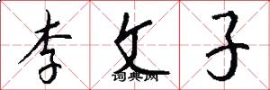 李文子怎么寫好看