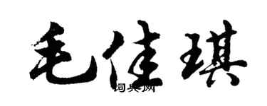 胡問遂毛佳琪行書個性簽名怎么寫