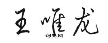 駱恆光王唯龍行書個性簽名怎么寫