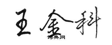 駱恆光王金科行書個性簽名怎么寫