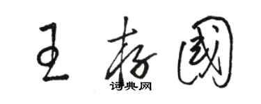 駱恆光王存國草書個性簽名怎么寫