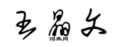 朱錫榮王晶文草書個性簽名怎么寫