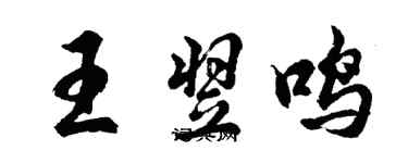 胡問遂王翌鳴行書個性簽名怎么寫