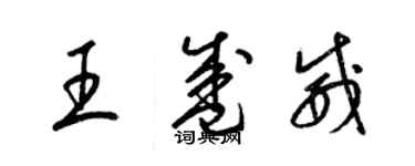 梁錦英王盛威草書個性簽名怎么寫