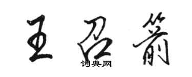 駱恆光王召箭行書個性簽名怎么寫