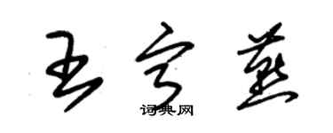 朱錫榮王寧燕草書個性簽名怎么寫