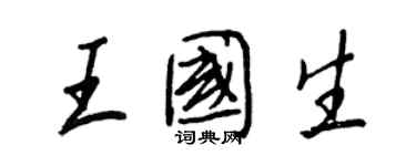 王正良王國生行書個性簽名怎么寫