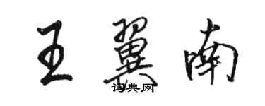 駱恆光王翼南行書個性簽名怎么寫