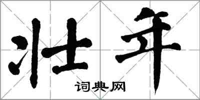 翁闓運壯年楷書怎么寫