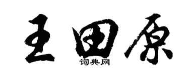 胡問遂王田原行書個性簽名怎么寫