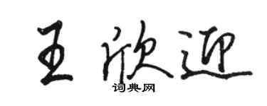 駱恆光王欣迎行書個性簽名怎么寫