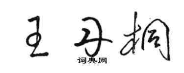 駱恆光王丹桐草書個性簽名怎么寫