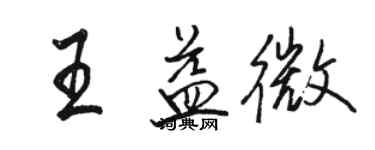 駱恆光王益微行書個性簽名怎么寫