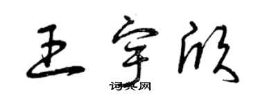 曾慶福王宇欣草書個性簽名怎么寫