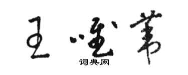 駱恆光王唯葦草書個性簽名怎么寫