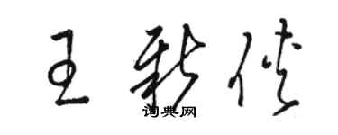 駱恆光王新俠草書個性簽名怎么寫