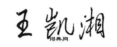 駱恆光王凱湘行書個性簽名怎么寫